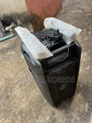 Microphone Speaker