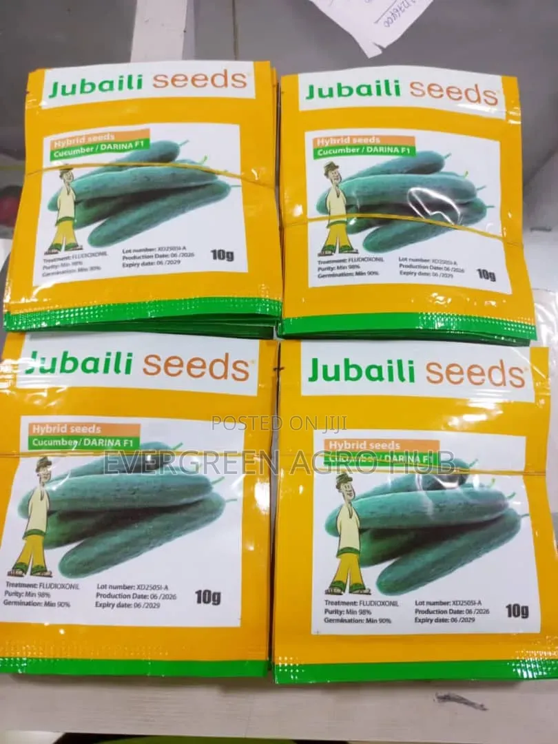 Jubaili Cucumber Seed 5g