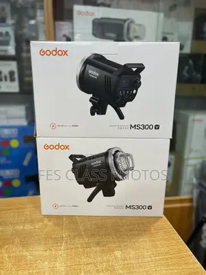 Godox MS300V Studio Flash