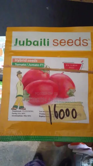 Jubaili Tomato Seed
