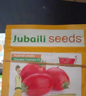 Jubaili Tomato Seed