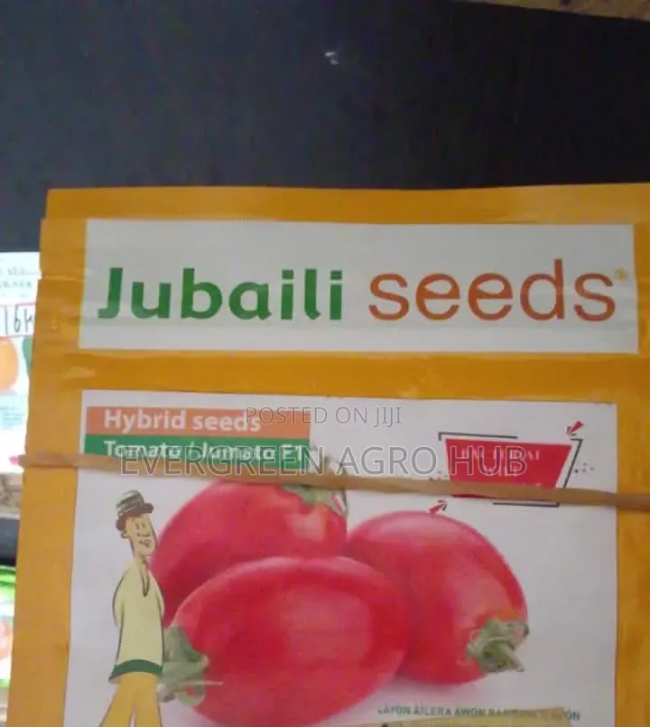 Jubaili Tomato Seed