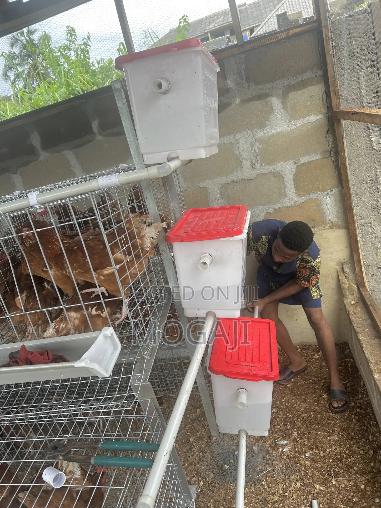 Imported Cage Construction