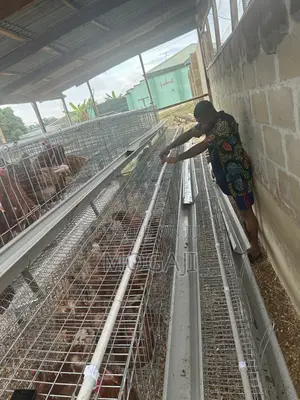 Imported Cage Construction