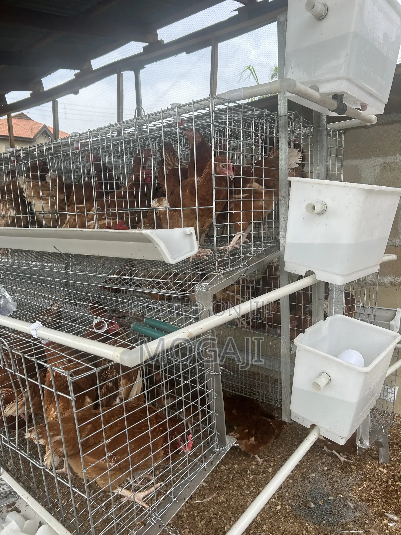 Imported Cage Construction