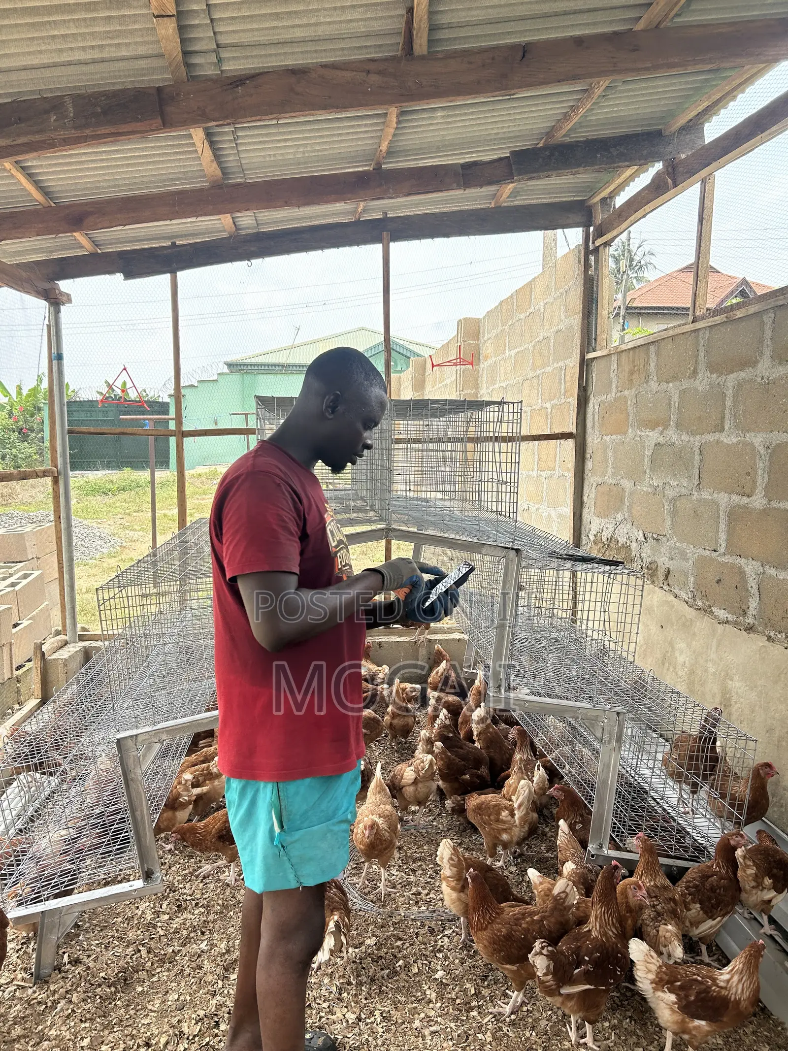 Imported Cage Construction