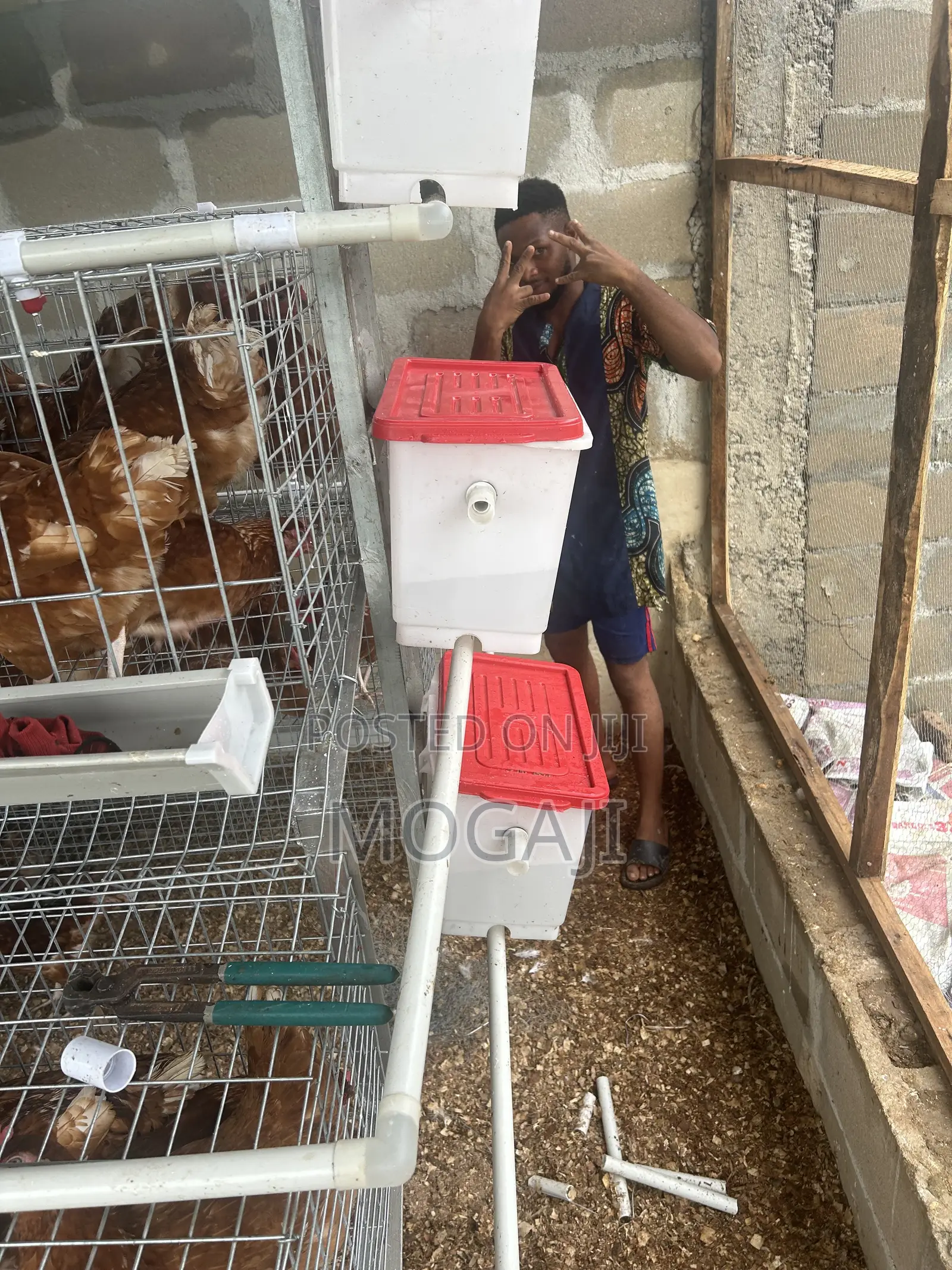 Imported Cage Construction