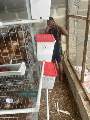 Imported Cage Construction