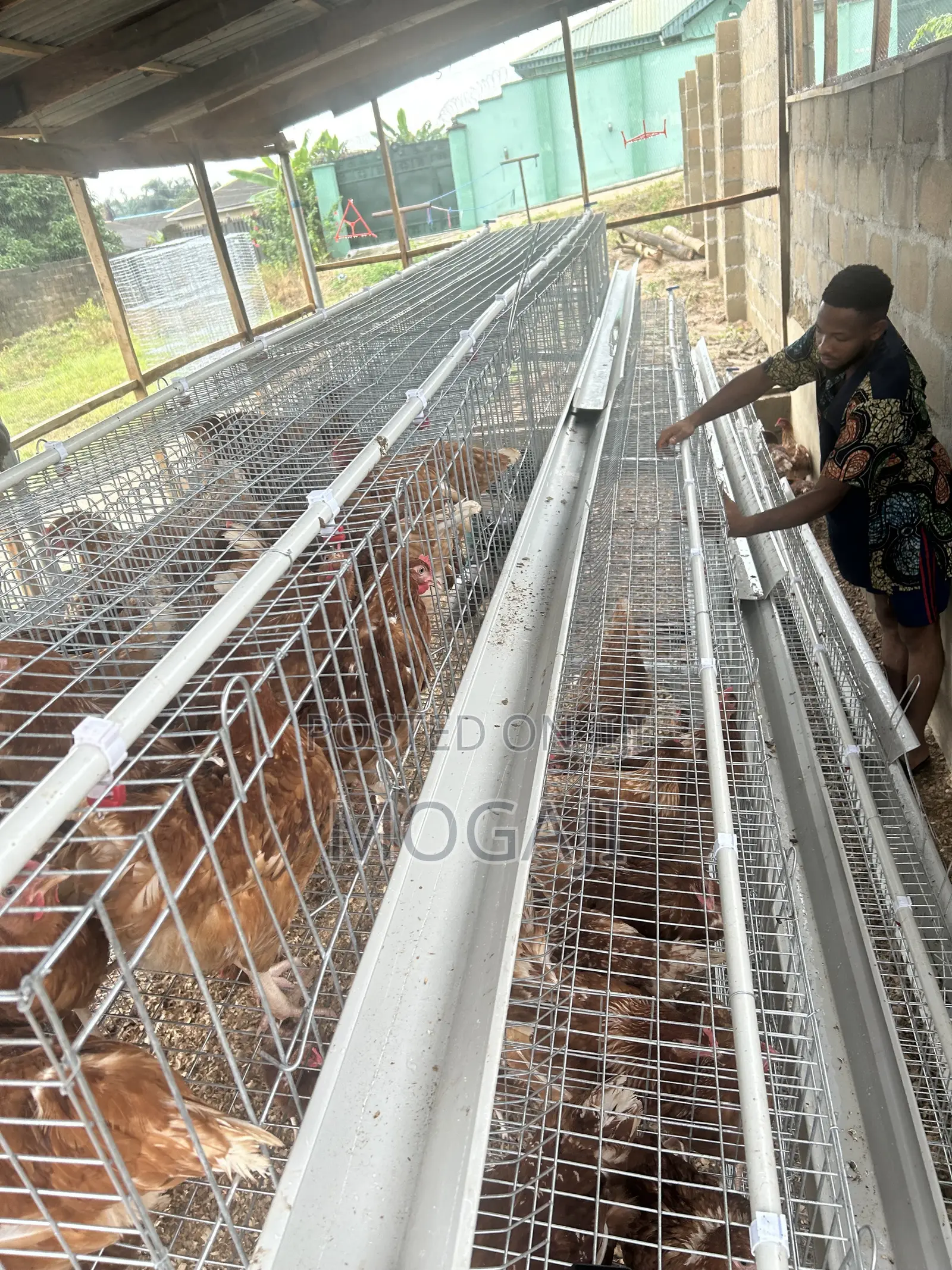 Imported Cage Construction