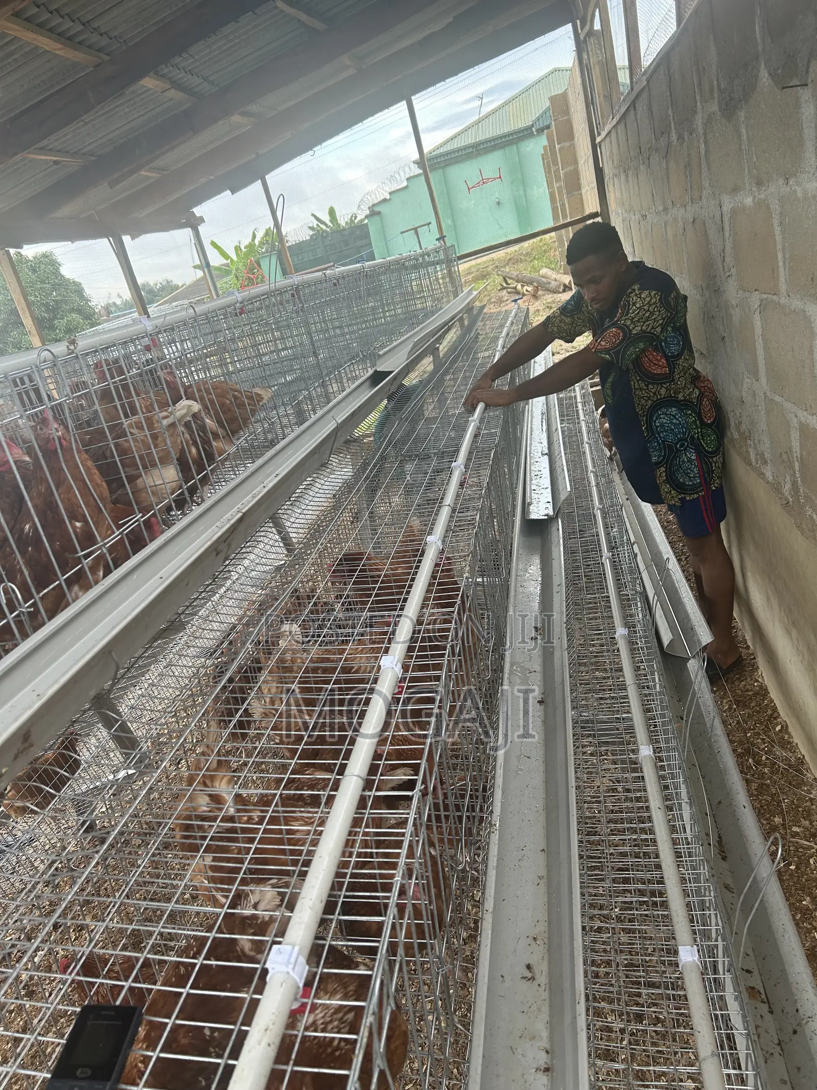 Imported Cage Construction