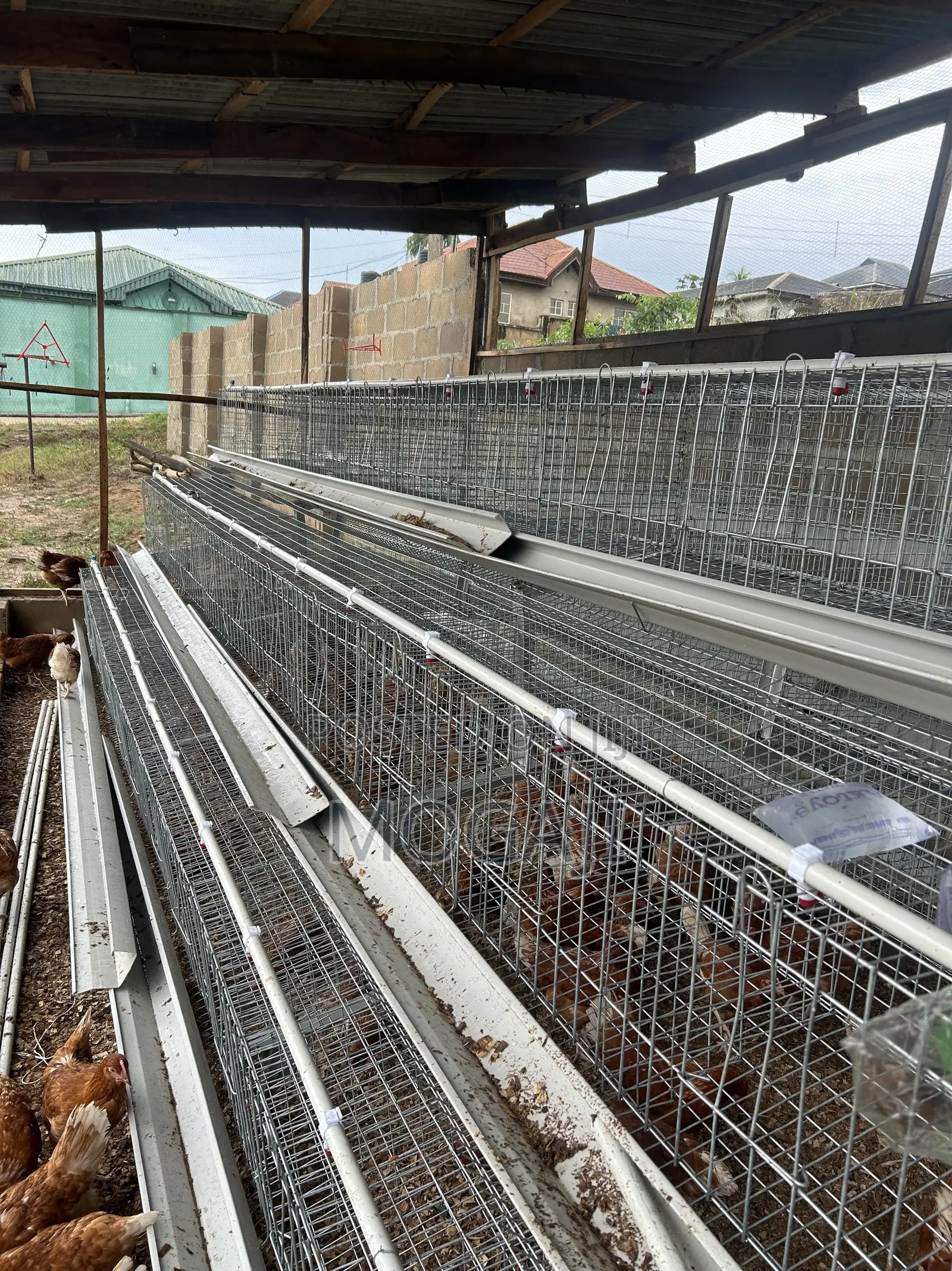 Imported Cage Construction