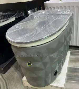 Luxurious Grey Smart WC