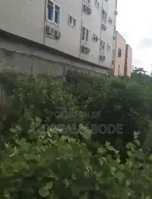 Nice Piece of Land