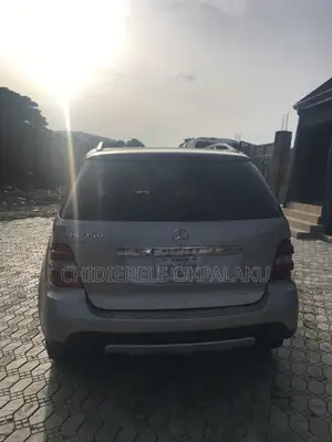 Mercedes-Benz M Class 2009 Gray