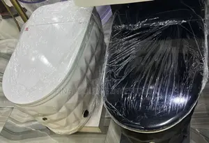 Luxurious Smart Water Closet System