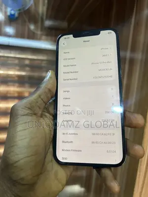 Apple iPhone 12 Pro Max 256 GB Blue