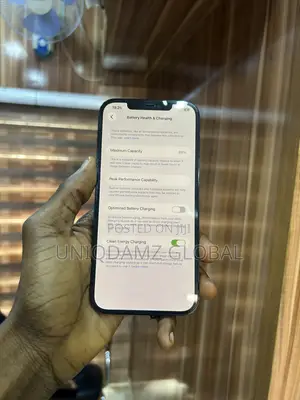 Apple iPhone 12 Pro Max 256 GB Blue