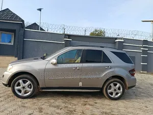Mercedes-Benz M Class 2010 Silver