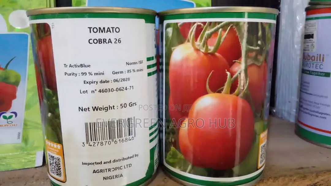 Cobra Tomato Seed (50g)