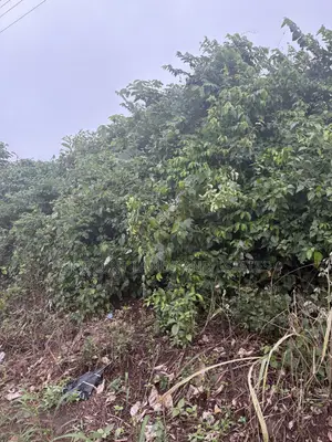 100 Hectares Available at Kobape Area Abeokuta Ogun State