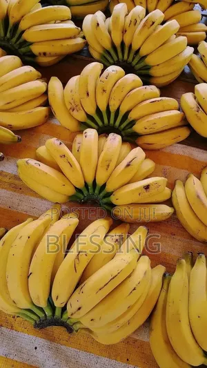 Fruit Sale and Supply