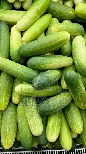 Fruit Sale and Supply