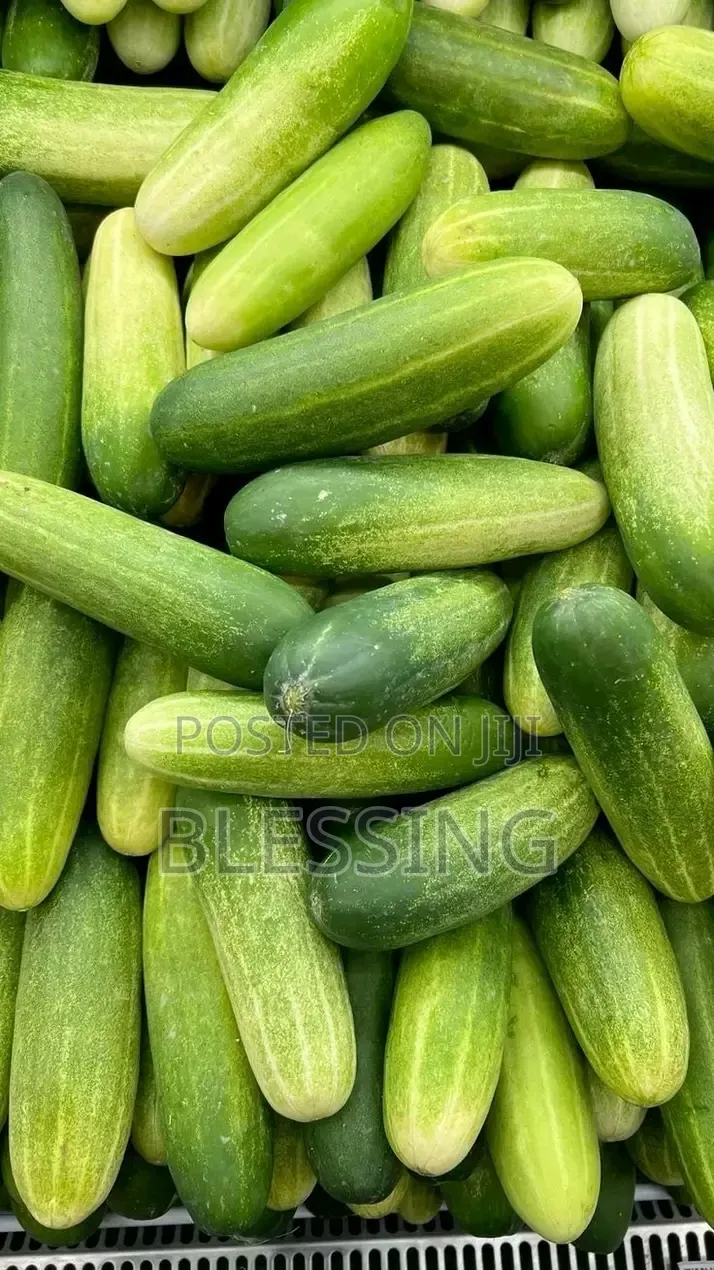 Fruit Sale and Supply