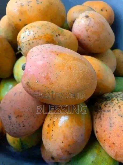 Fruit Sale and Supply