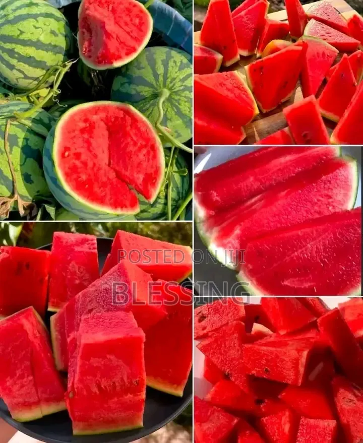 Fruit Sale and Supply