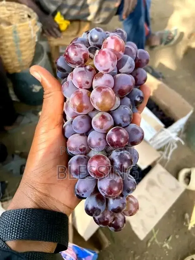 Fruit Sale and Supply
