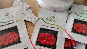 Super Habanero F1 (500seeds)