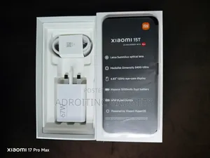 Xiaomi 15T 256 GB Gold
