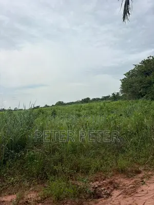 Farmland for Sale in Ogun State