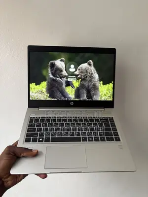 Laptop HP ProBook 445 G7 8GB AMD Ryzen 5 SSD 512GB