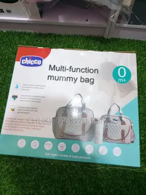 Chicco Bag