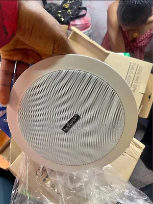 Loud Ceiling Speaker