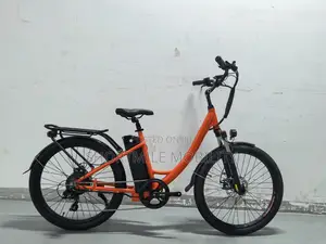 500W Light Cargo Bicycle for Delivery - SISU