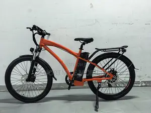500W Light Cargo Bicycle for Delivery - ESIN