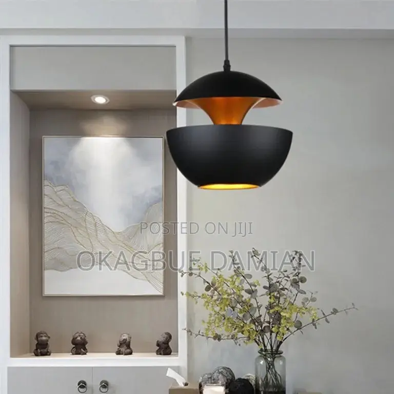 Modern Black Gold Dome Pendant Light