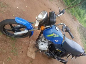 TVS HLX Plus ES 2022 Blue