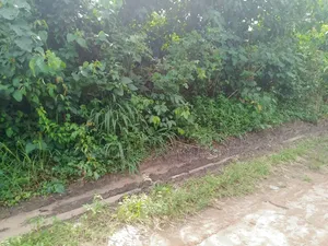 2 Plots for Sale in Nsukwe Right at Oakwood Junction Umuahia