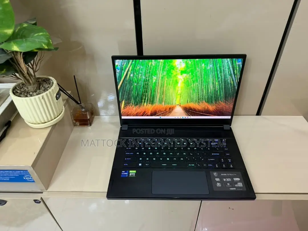 Laptop MSI GS66 Stealth 10UH 64GB Intel Core i9 SSD 1T