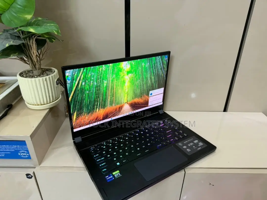 Laptop MSI GS66 Stealth 10UH 64GB Intel Core i9 SSD 1T