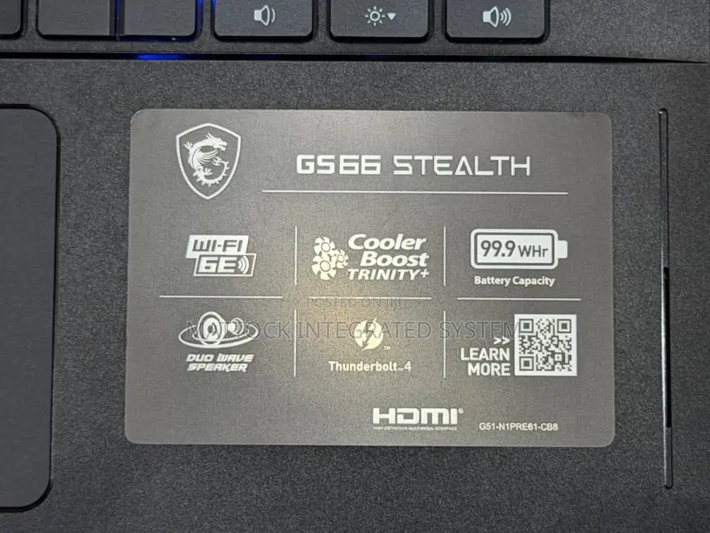 Laptop MSI GS66 Stealth 10UH 64GB Intel Core i9 SSD 1T