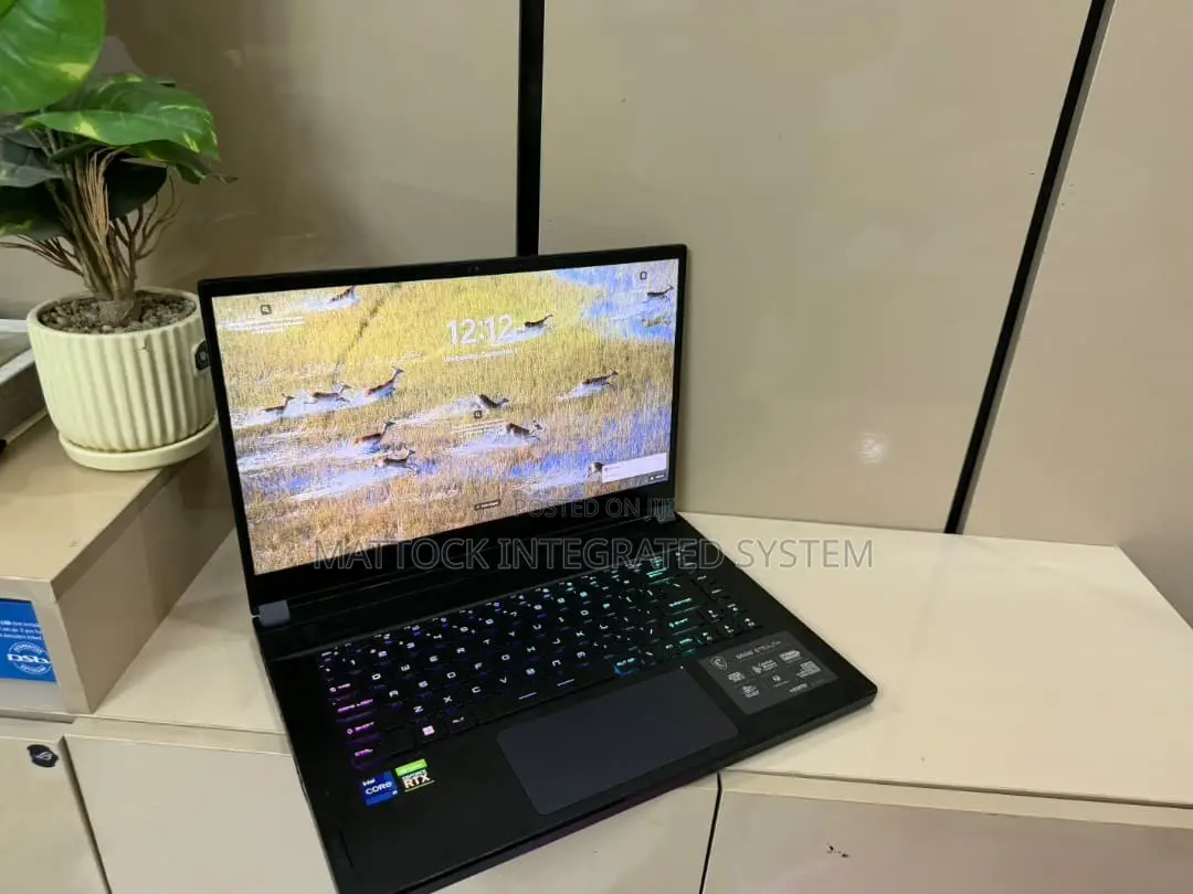 Laptop MSI GS66 Stealth 10UH 64GB Intel Core i9 SSD 1T