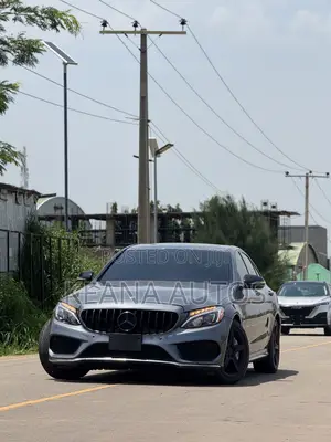 Mercedes-Benz C43 2019 Gray