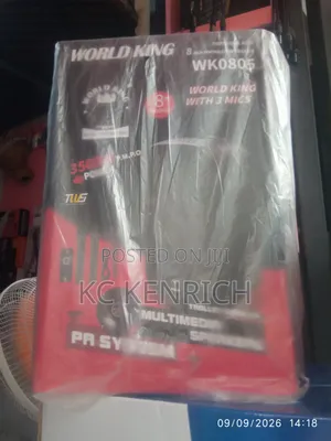 Worldking PA System 8 Inch, 3 Wireless Mic And
