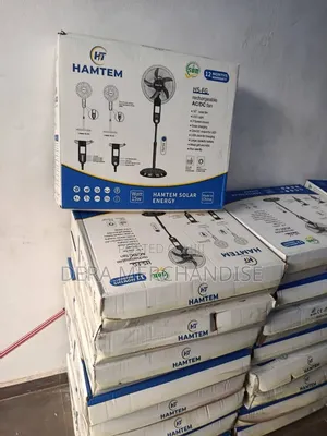 Hamtem Standing Solar Fan