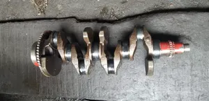 Ccomplete Crank Shaft Hyundai Elactra 2012 2.0