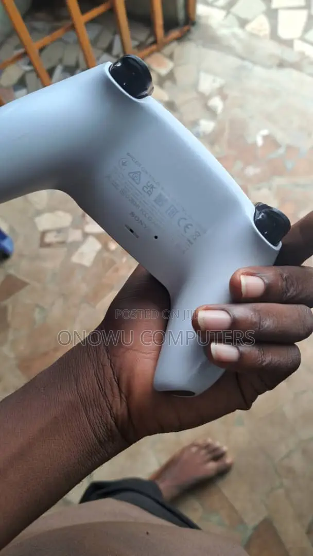 Ps5 Controller (Pad)